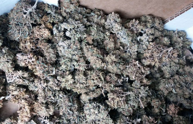 ХАПШЕЊЕ ЗБОГ ТРГОВИНЕ НАРКОТИЦИМА: У стану крио дрогу, стране таблице и државне печате 